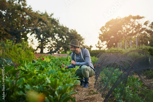 Produce more, conserve more. Shot of a young man tending to the crops on a farm.