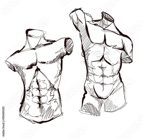 Sketch. Bodybuilding And Powerlifting. Vector Torso of the statue.