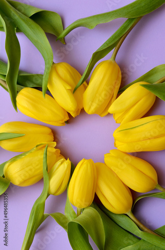 beautiful yellow tulips flowers for mother's day