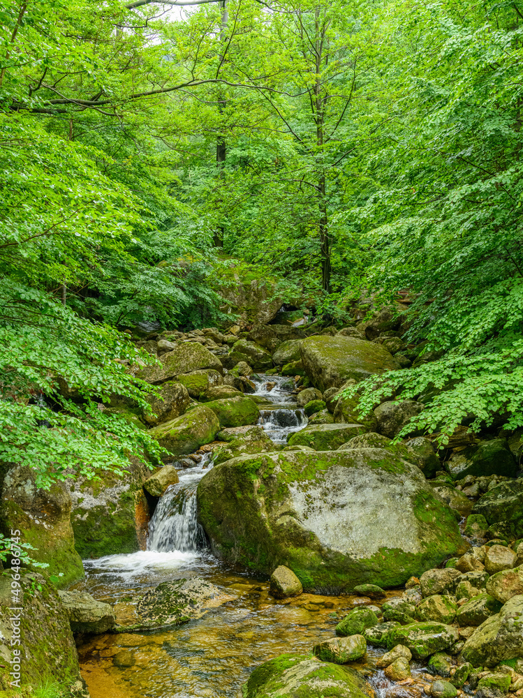 mountain creek cascades over boulders in forest mountain creek cascades over boulders in forest