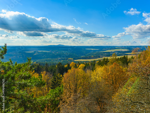 view in curvy landscape with forests in autumn on sunny day