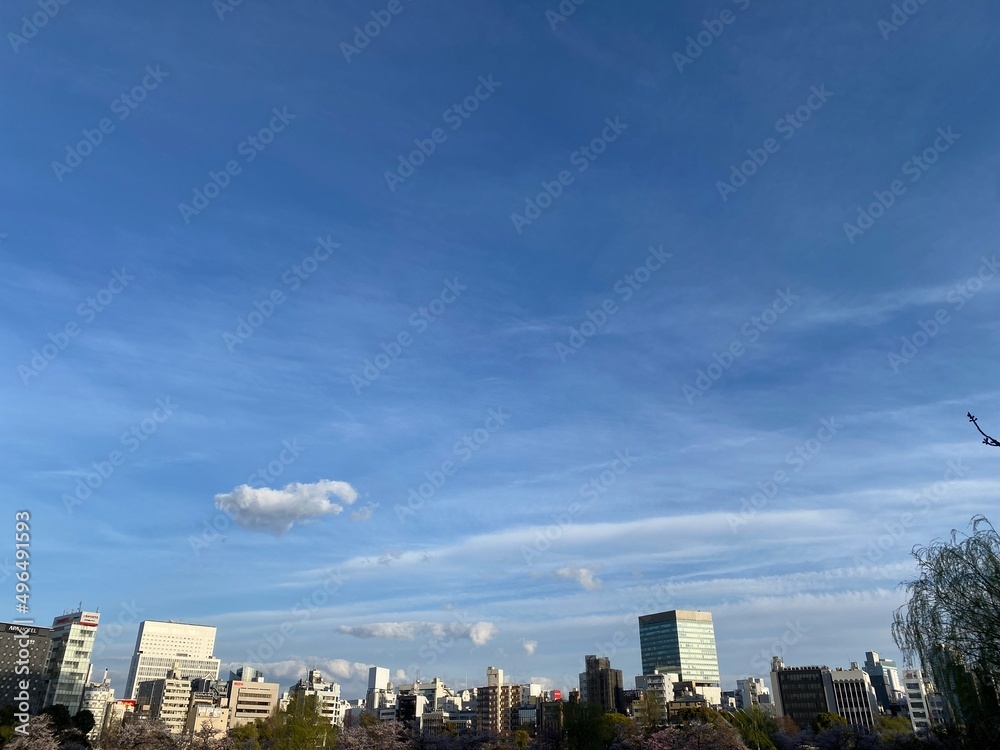Fototapeta premium Ueno Pond Tokyo, Shinobazu Ike, with buildings in the back