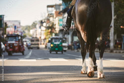 Horse of police patrol during traffic control in busy city center. Kandy in Sri Lanka..