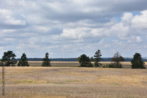 Farmland with Grasses Growing on the Plains photo