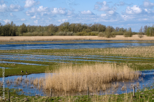 Lepelaarsplassen - Oostvaardersplassen