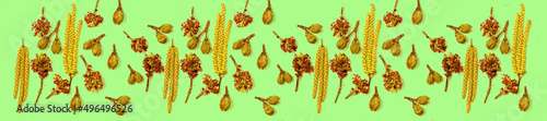 Panoramic pattern bloom buds of birch and maple on a green background.
