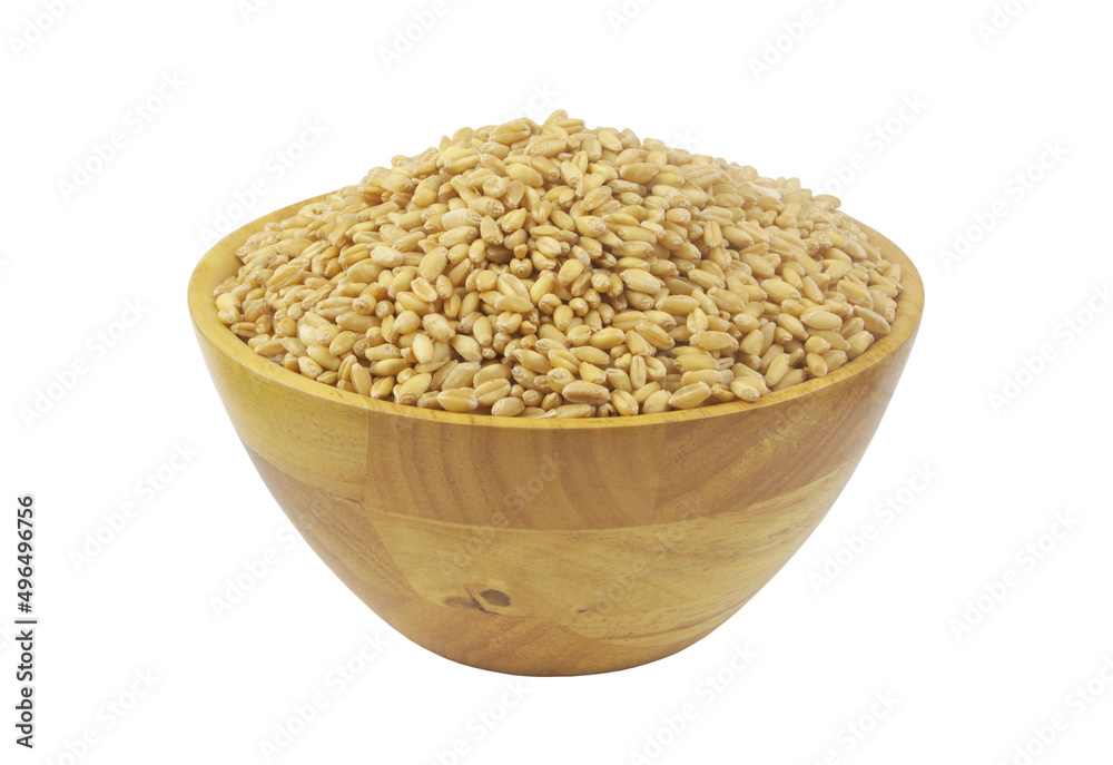 Wheat grains in bowl isolated on white background Wheat grains in bowl isolated on white background