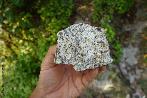 Geologist's hand is holding a specimen of plutonic granite rock. photo
