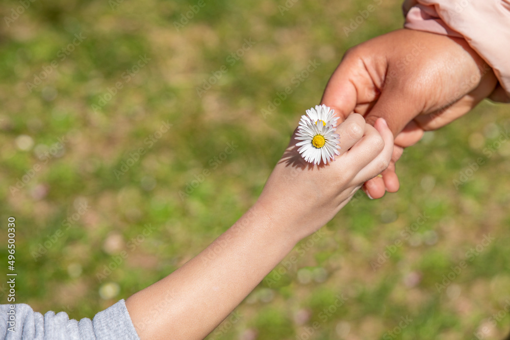 little girl handing flowers to her mother.