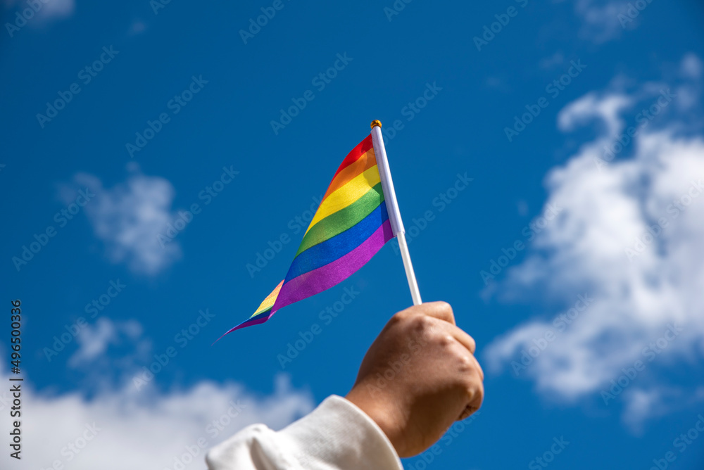 Holding gay pride symbol rainbow flag Holding gay pride symbol rainbow flag