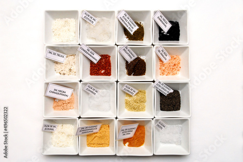 types of salt, group of different types of salt with their respective names written on paper, in containers on white background