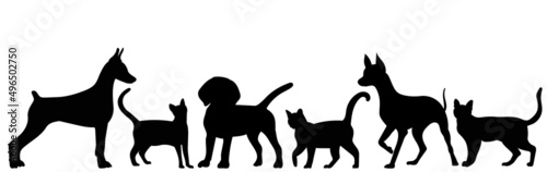cats and dogs silhouette on white background isolated vector