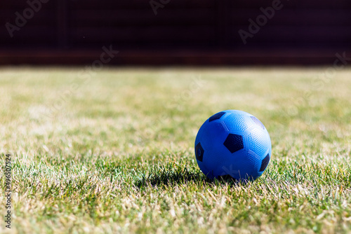 Niebieska gumowa piłka na pięknym zielonym trawniku.