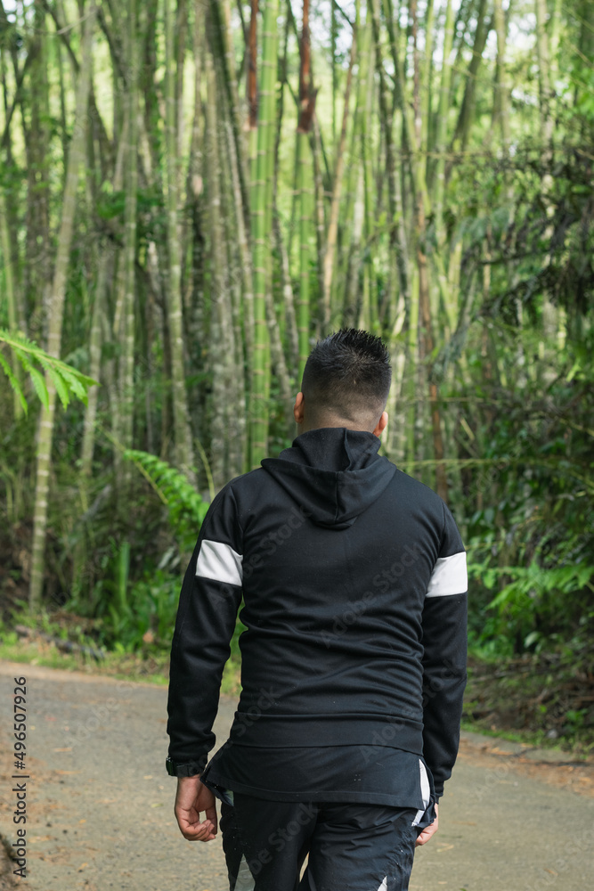 latin guy walking along a trail in the middle of a bamboo forest in colombia. beautiful jungle in south america, man walking in nature. ecology concept.