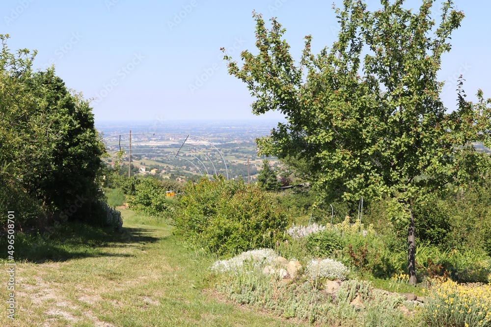 colline modenesi a Serramazzoni colline modenesi a Serramazzoni