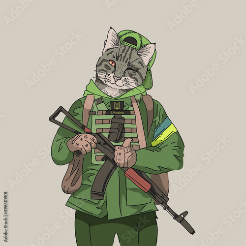 Ukrainian soldier cat, wearing body armor and gun.