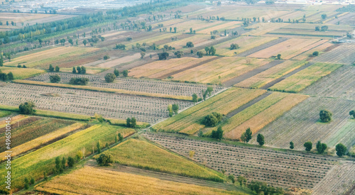 Aerial view of agricultural fields before harvest at summer