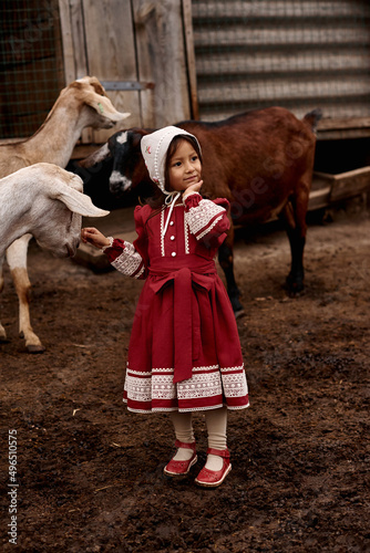 cute children in beautiful red dress feeding a goats on a farm