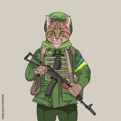 Ukrainian soldier cat, wearing body armor, helmet and gun.