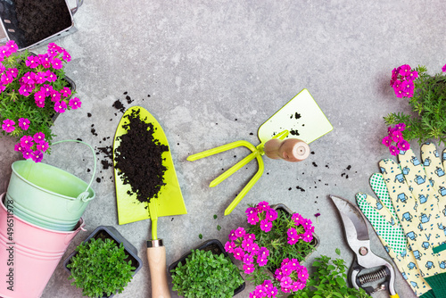 Garden tools, pots and spring flowers on a gray stone table