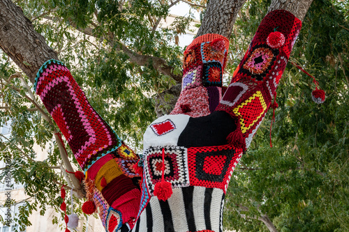 Colorful crochet knit on a tree trunk yarn bombing. Patchwork knitted crochet covered tree for warmth, protection and decoration. photo