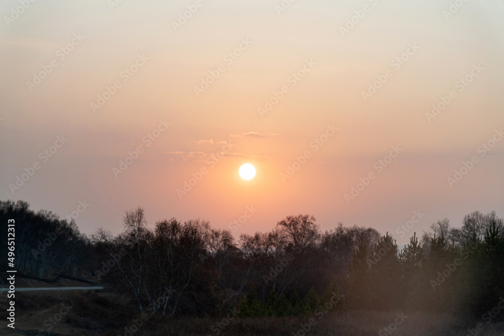 Sunset with trees in autumn park