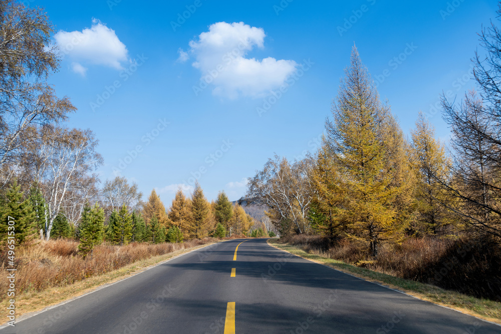 Fototapeta premium Country road with blue sky in the autumn