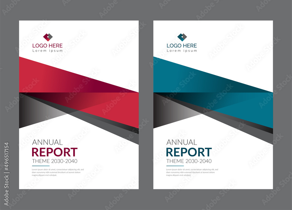 Professional Modern corporate colorful Annual Report Cover