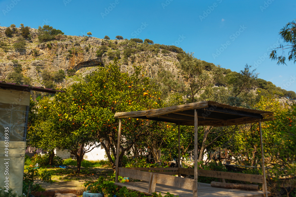 DALYAN, TURKEY: Landscape with a view of orange trees and a house by the mountain in Dalyan.