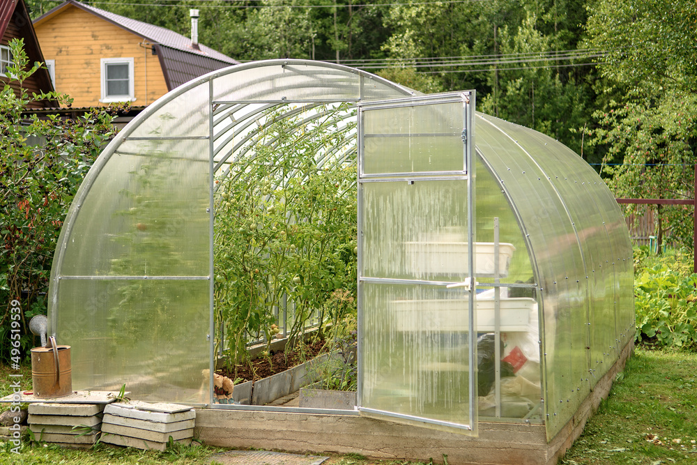 Greenhouse in the backyard with an open door. Growing tomatoes and cucumbers in the summer in your garden