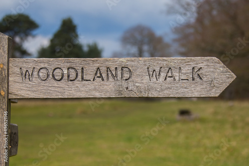 ' Woodland Walk ' Direction sign arrow Wooden Sign on sign post in forest shropshire United Kingdom 