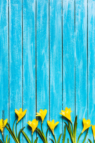 Yellow flowers on a turquoise wooden background