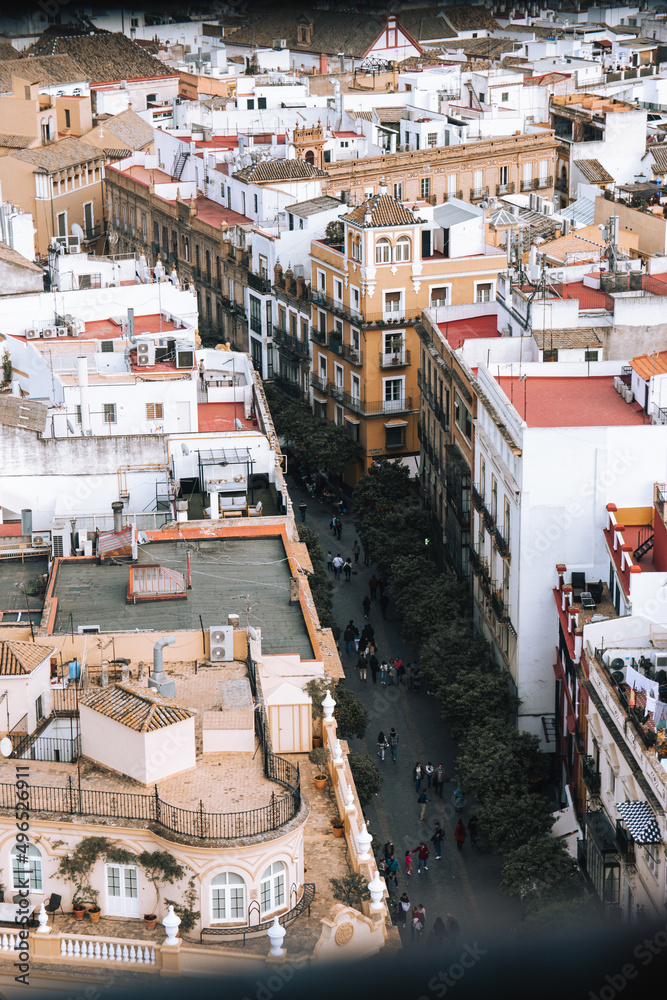 Cityscape of Seville from the top of the Giralda.