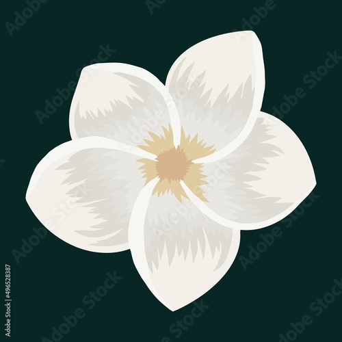 Beautiful white tropical flowers hand drawing isolated vector