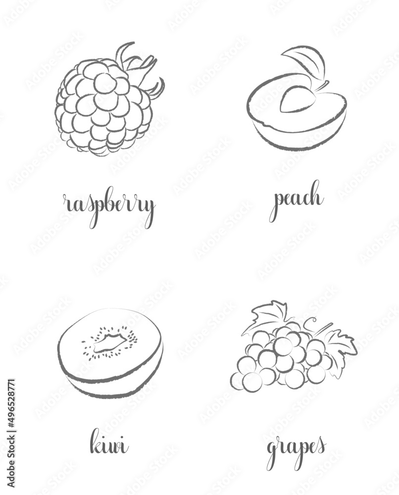 Hand draw frutis, set. Raspberry, Peach, Kiwi, Grapes - obrazy, fototapety, plakaty 