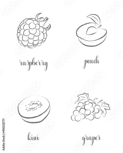 Hand draw frutis, set. Raspberry, Peach, Kiwi, Grapes
