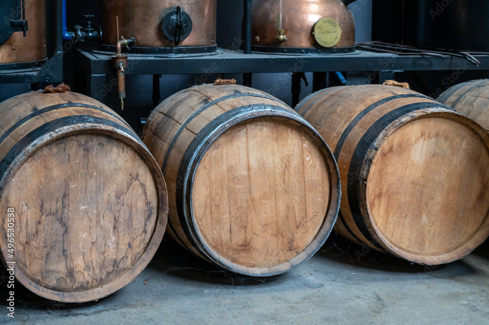 Production of sweet cassis creme liquor from ripe black currant berries, distillation and maturation in wooden barrels.  Burgundy, France