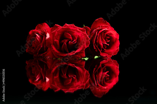 Red roses on a black reflective surface taken at a low angle. Great for Love  anniversaries  wedding  valentines.  