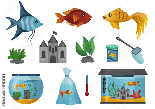 Aquarium and fish set in cartoon style. Pet shop
