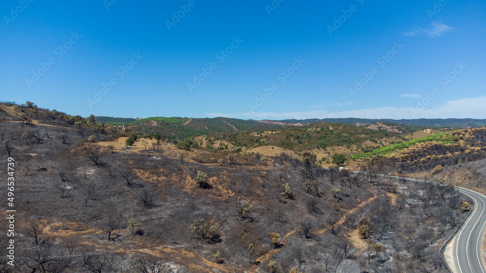 Aerial drone view of burned forest next to the road. Dark land and black trees caused by fire. Forest fire. Climate change, ecology and land.
