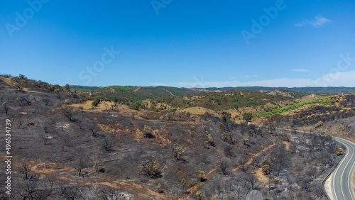 Aerial drone view of burned forest next to the road. Dark land and black trees caused by fire. Forest fire. Climate change, ecology and land. 
