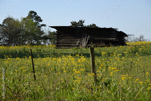 Old rustic shed in a field in the Texas countryside