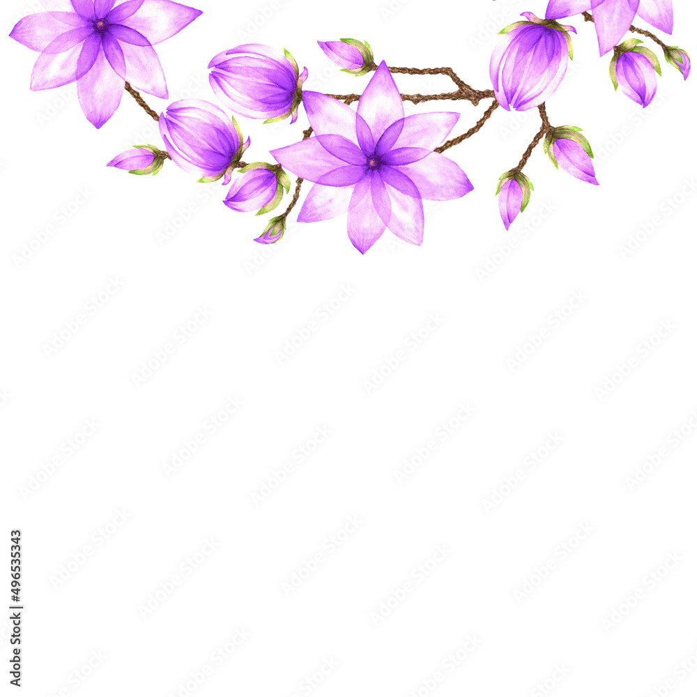 An isolated watercolor illustration of a half-round element with floral magnolia motif, an real aquarelle paper texture on white background for design of text, greeting and invitation cards, backdrops