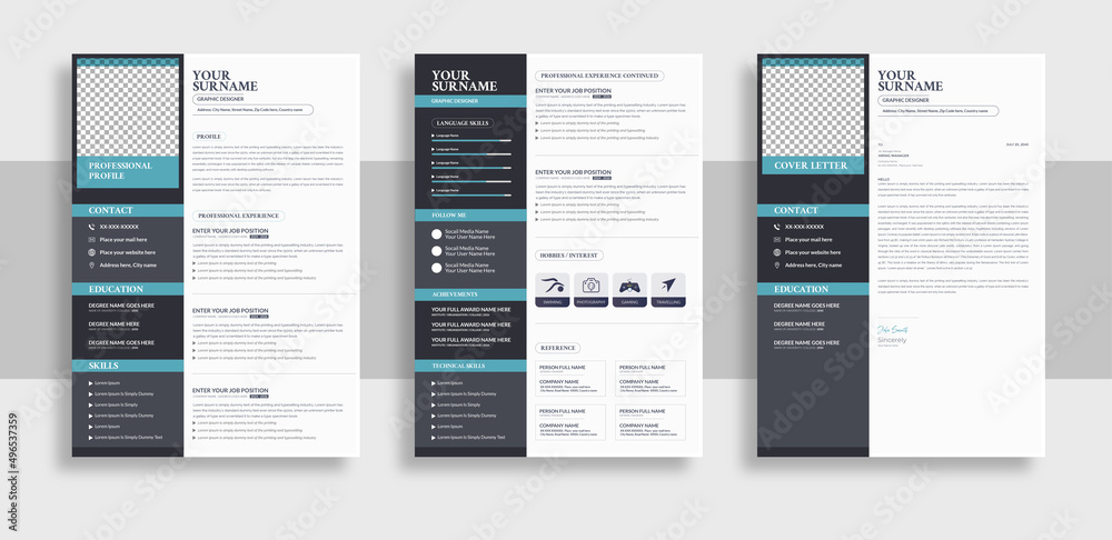 Professional Resume CV Template Layout Professional Resume CV Template Layout