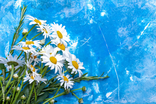 Summer Floral card with chamomile flower over blue vintage painted wooden background.