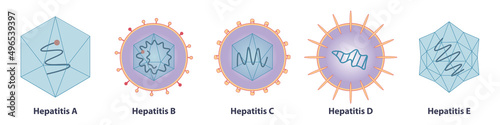 Five main types of viruses cause hepatitis: hepatitisviruses A (HAV), B (HBV), C (HCV), D, (HDV) and E (HEV) photo