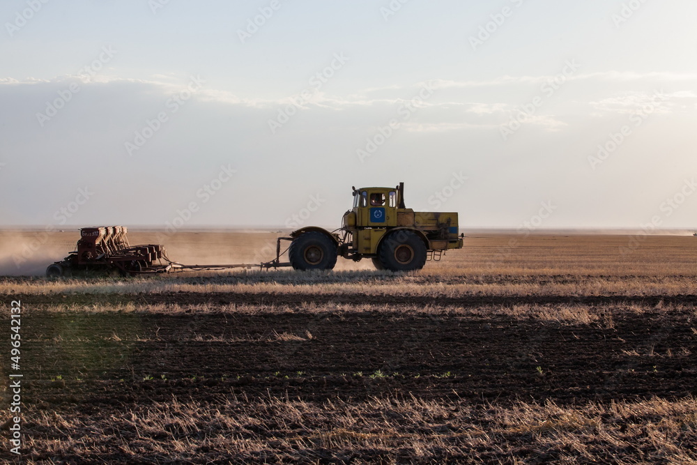 Fototapeta premium Kostanay Province, Kazakhstan - May 01, 2019: Tractor seeds wheat in field on sunset. Sowing season.
