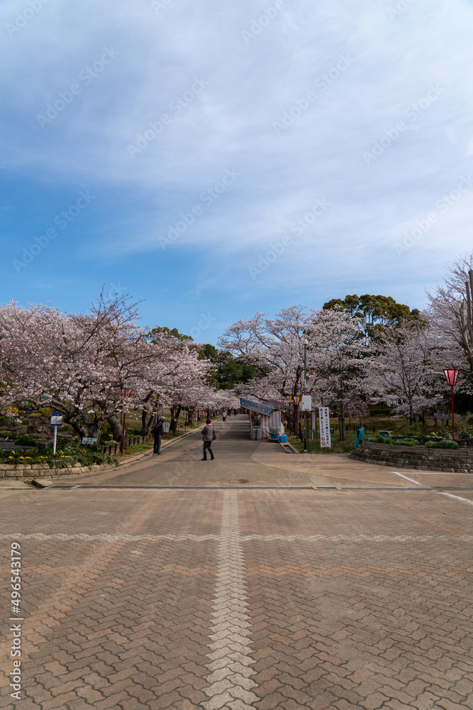 Fototapeta premium 日岡山公園