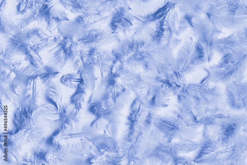 Feathers in trendy Very Peri. Color Of The Year 2022. Feathers in trendy Very Peri. Color Of The Year 2022.
