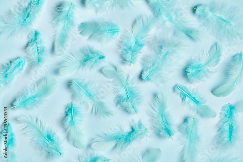 Blue feathers on blue background, ,light blue texture
